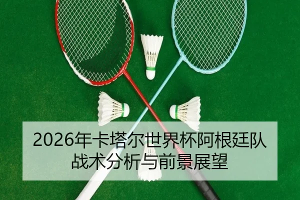 2026年卡塔尔世界杯阿根廷队战术分析与前景展望