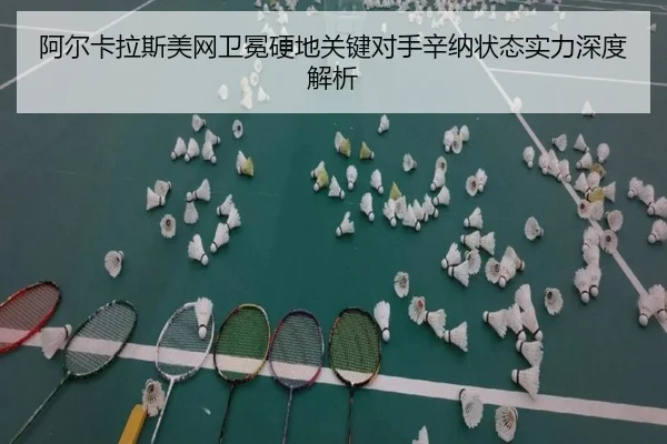 a-er-ka-la-si-mei-wang-wei-mian-ying-di-guan-jian-dui-shou-xin-na-zhuang-tai-shi-li-shen-du-jie-xi-2-342.jpg